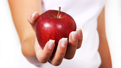 Návrh bez názvu (1).png